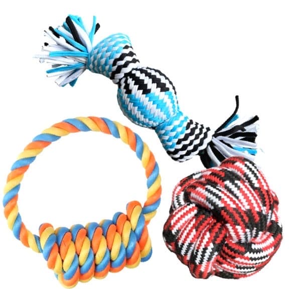 Dog Subscription Box Dog Rope Toys