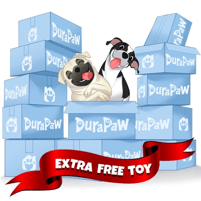 DuraPaw Ultimate Enrichment Dog Subscription Box Canada