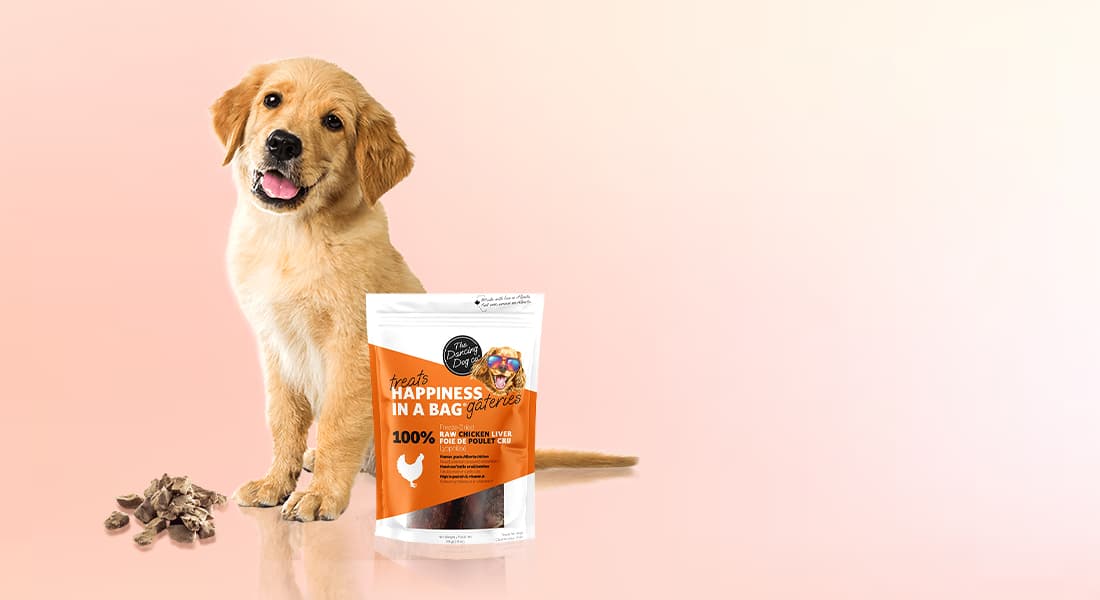 DuraPaw Freeze Dried Dog Puppy Treats Canada