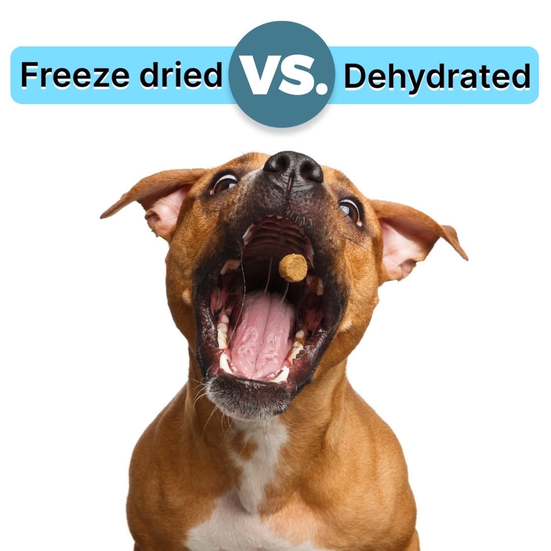 Freeze Dried Vs Dehydrated Dog Treats