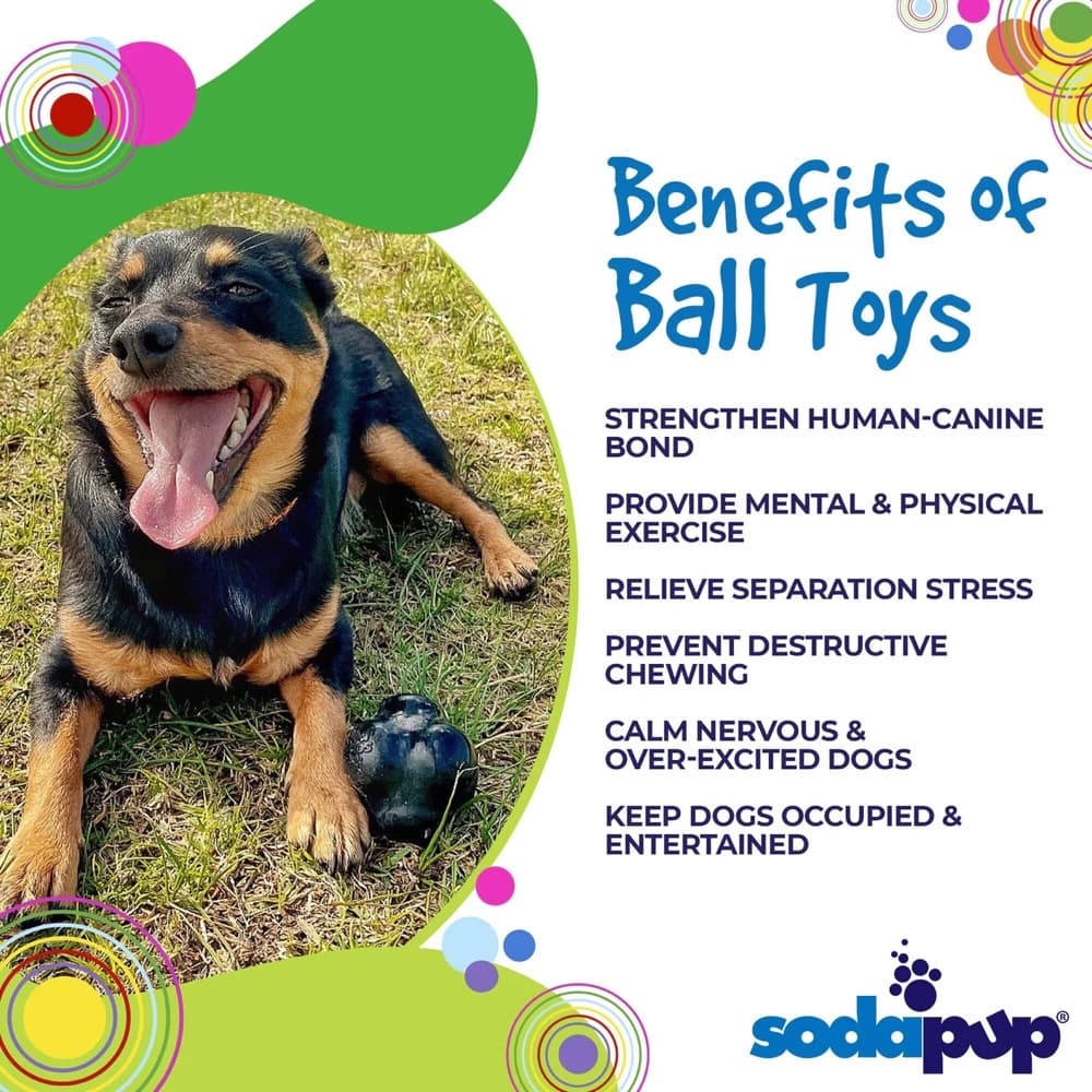 Sodapup Benefits of Dog Retrieving Ball Toys