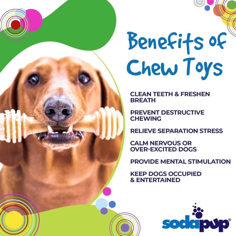 Sodapup Nylon Dog Chew Toy Benefits