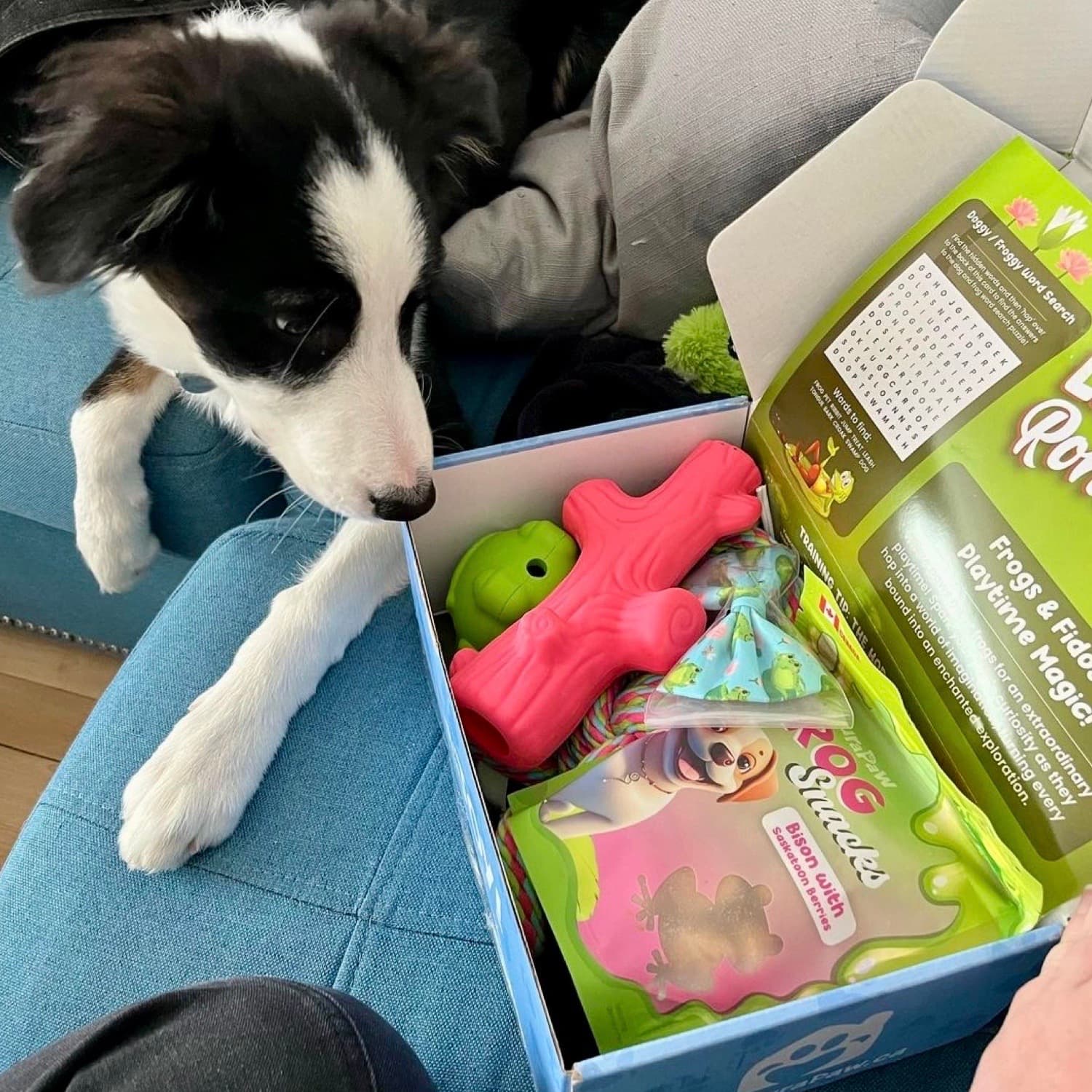 DuraPaw Dog Toy Enrichment Box