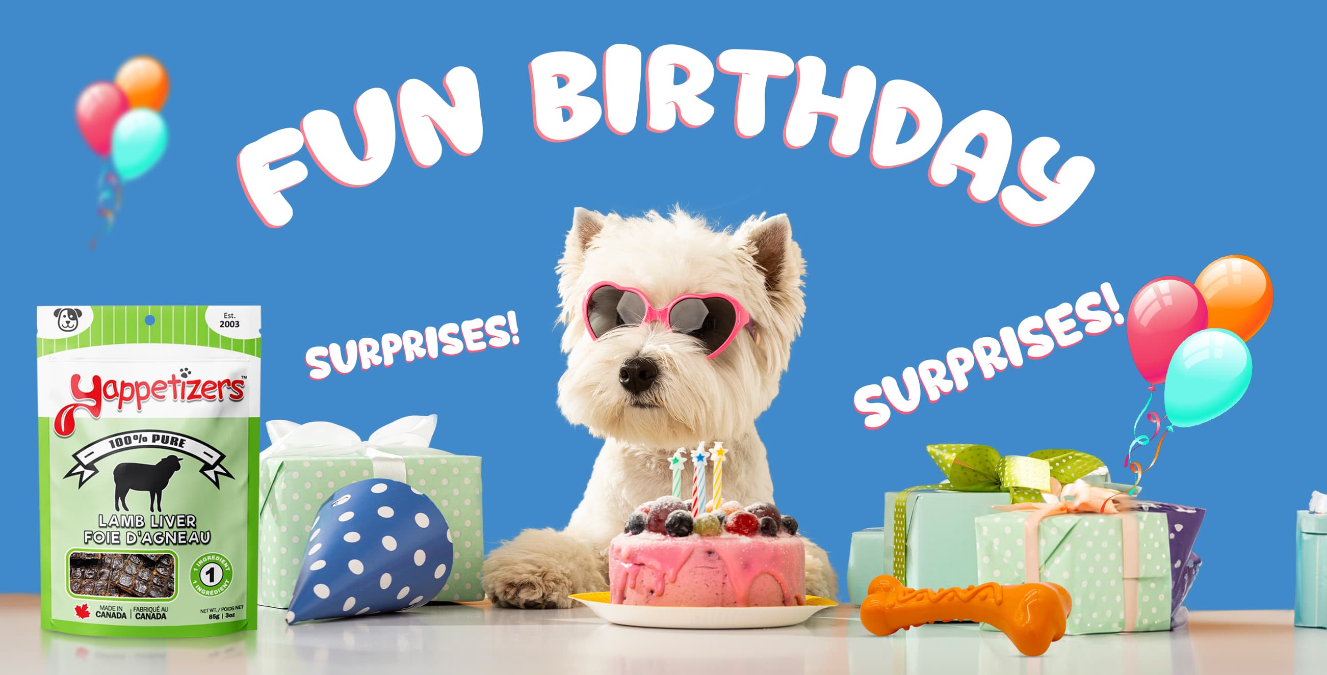 DuraPaw Dog Birthday Gift Box Fun Toy and Treat Surprises