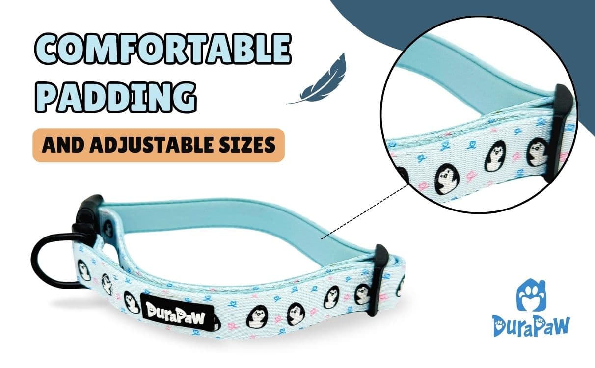 Durable and Comfortable Dog Collar