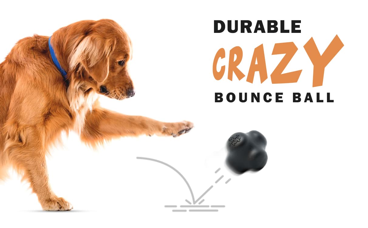 Sodapup Magnum Durable Solid Rubber Crazy Bounce Ball
