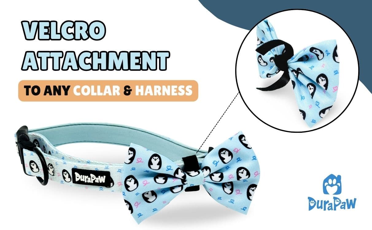 Dog Bow Tie Accessory Easily Attached to Collar with Velcro Strap