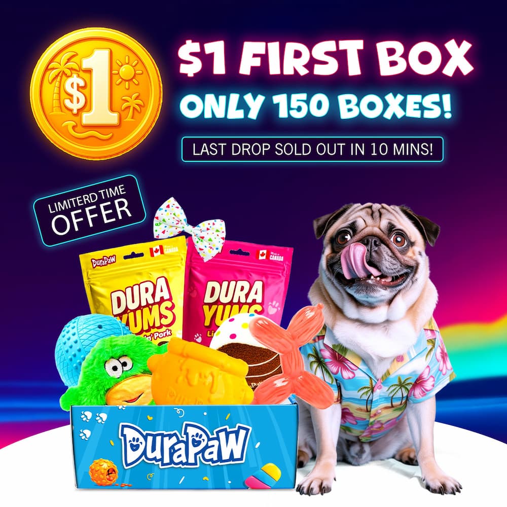 Promotional image of a DuraPaw toy box with a dog, colorful packaging, and text about a limited-time offer.