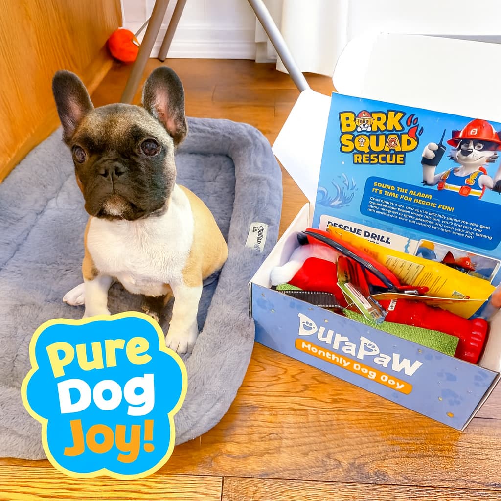 Dog sitting on a bed next to a box of 'DuraPaw Bark Squad Rescue' durable toys with 'Pure Dog Joy!' branding.