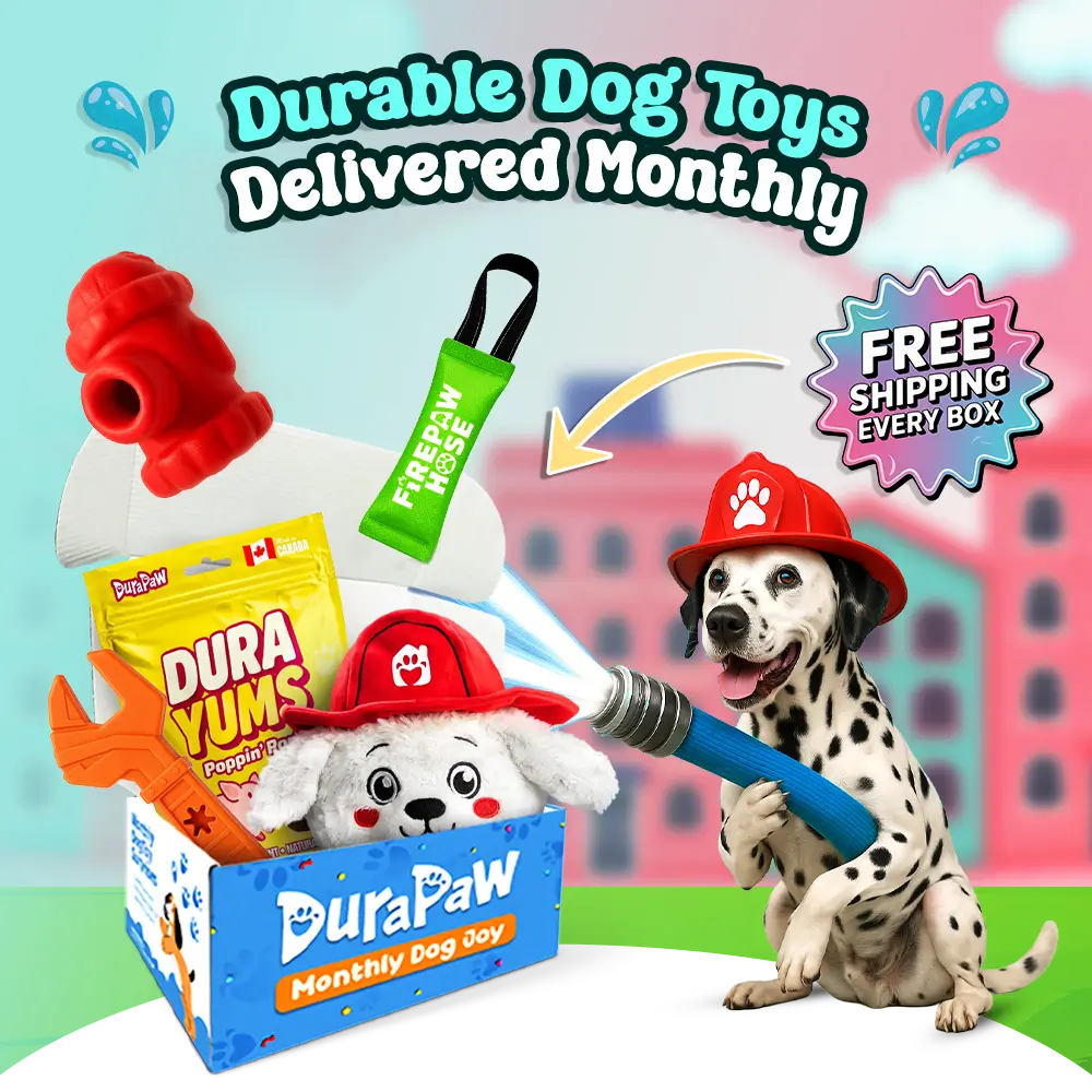 DuraPaw dog toy subscription box with dog toys and packaging, featuring dalmatian pet and DuraPaw brand.