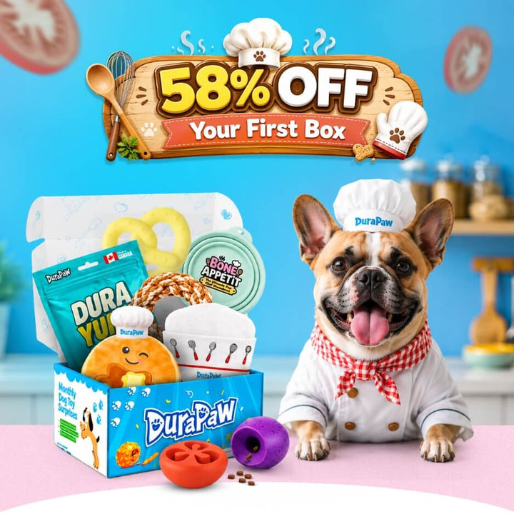 Dog in chef outfit with DuraPaw product display and promotional text on a blue background