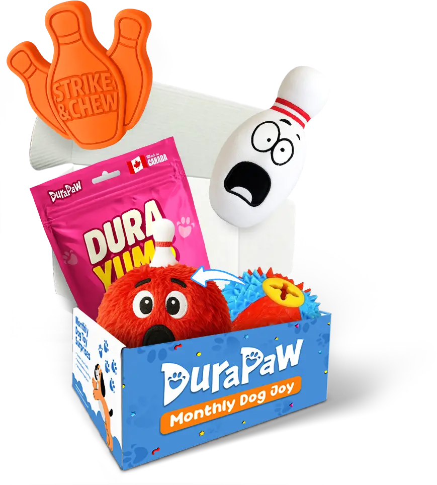 Bark N Bowl Bonanza Monthly Dog Toy Subscription Box Theme