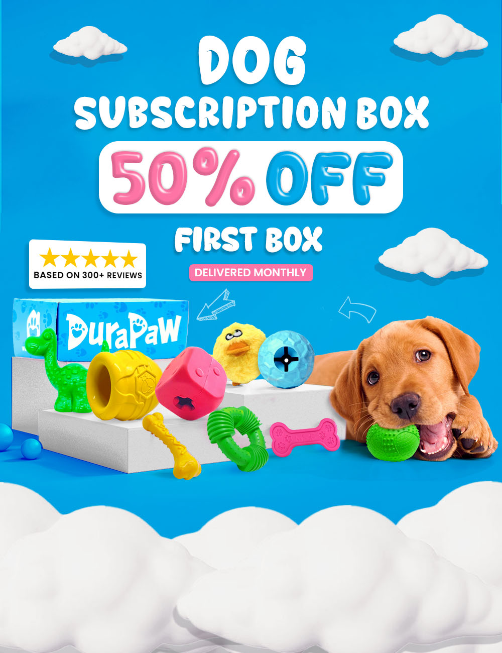 DuraPaw Box The Best Monthly Dog Subscription Box in Canada
