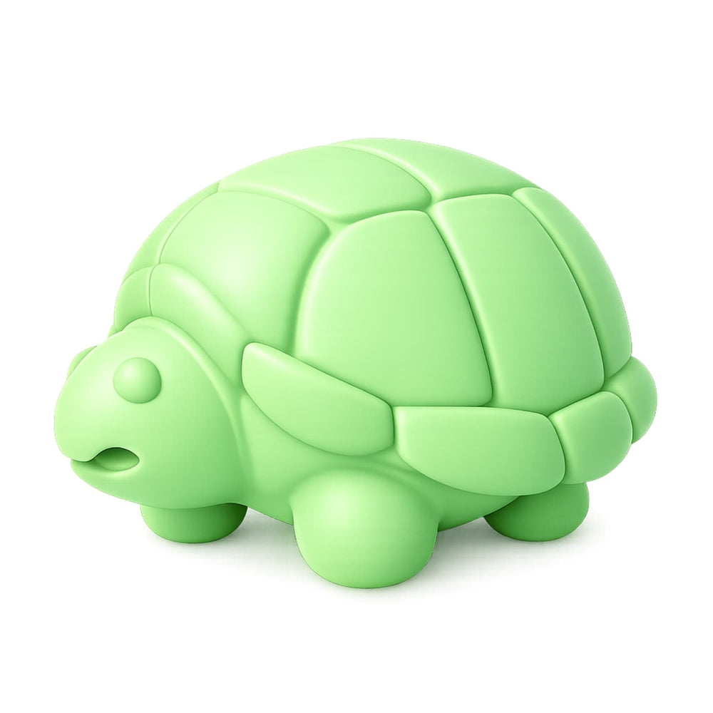 Chewbert the Turtle
