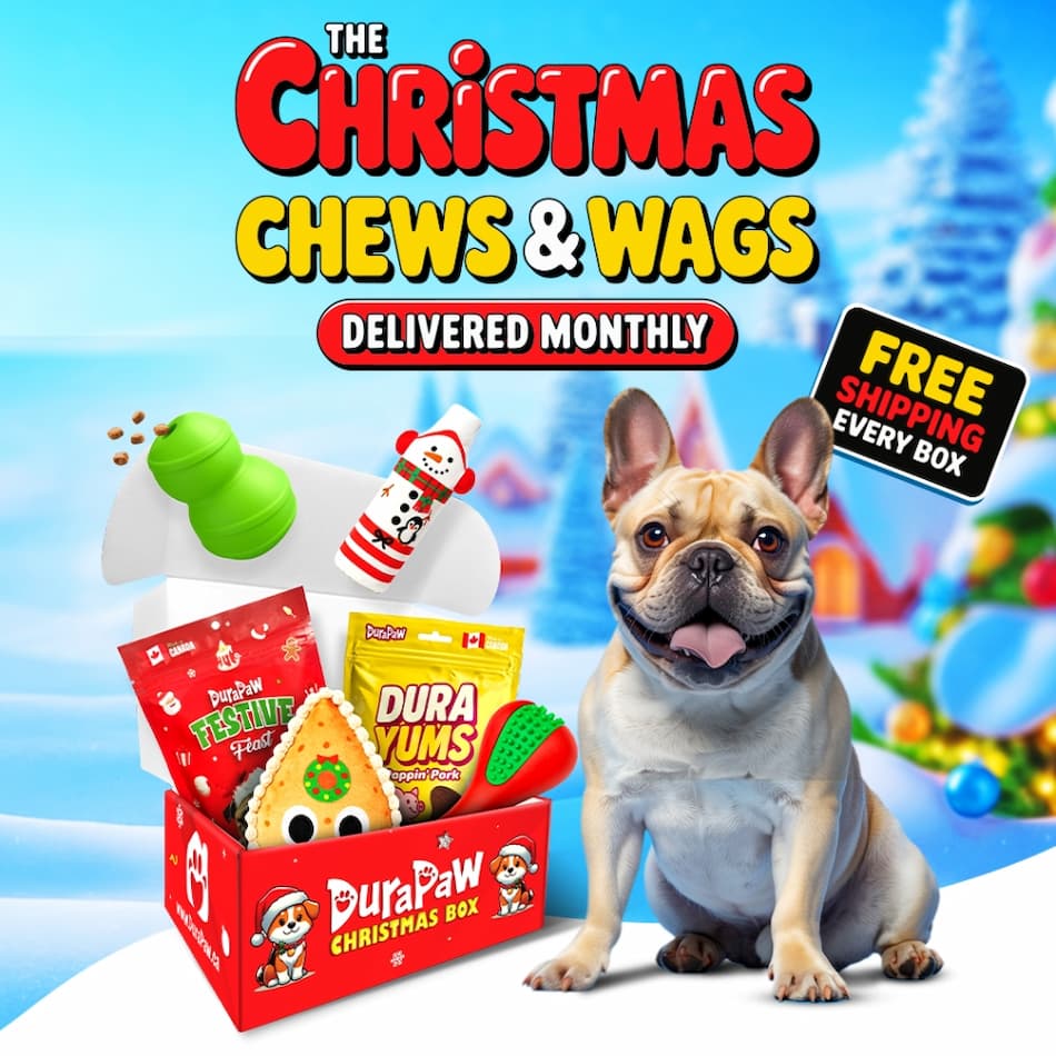 DuraPaw dog with Christmas-themed dog toy subscription boxes delivered monthly