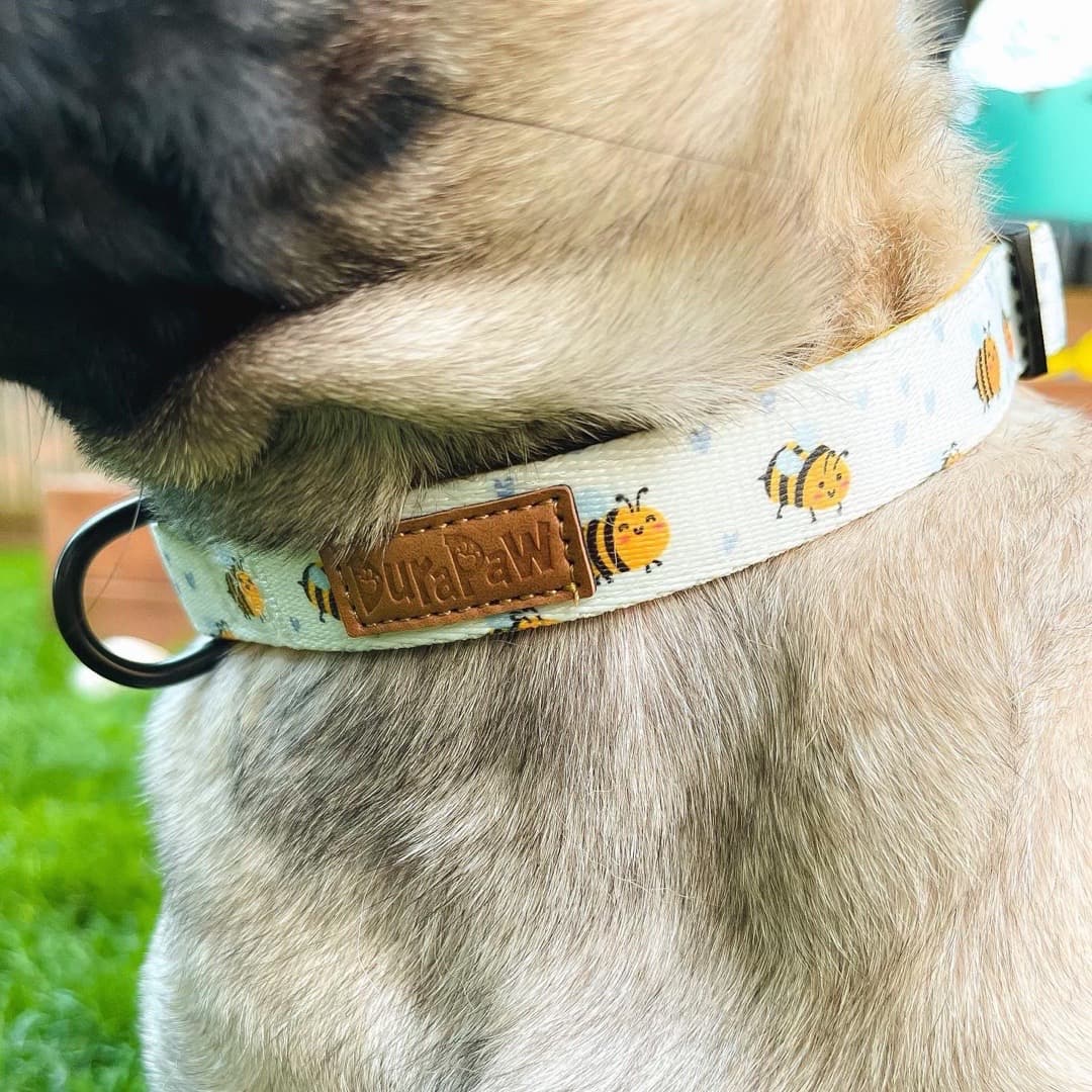 Cute Dog Collar Canada Bee Design