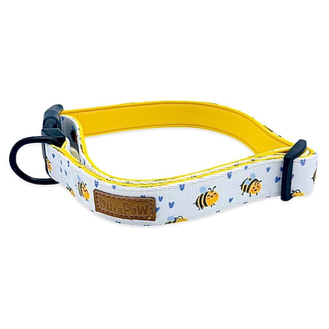 DuraPaw Cute Puppy Dog Collar Canada