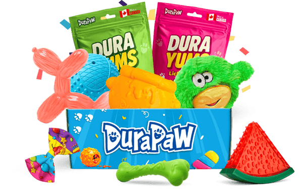 Assorted DuraPaw dog toys including a blue ball, pink balloon nylon toy, and green toy with a face on a png background.