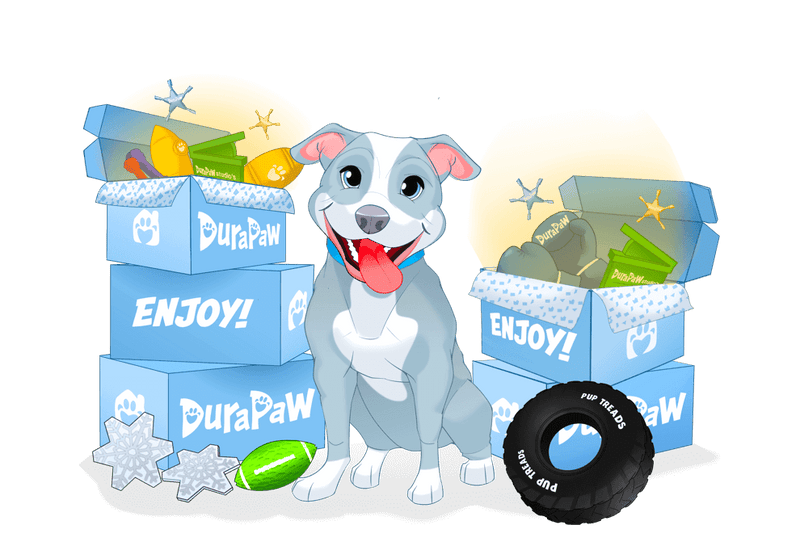 DuraPaw Box Premium Monthly Dog Subscription Box in Canada