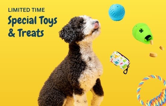DuraPaw Themed Dog Subscription Box Toy Treat Add Ons