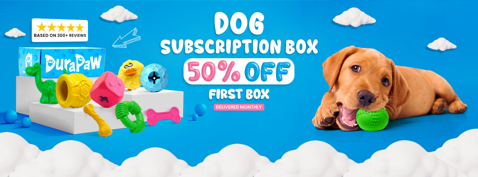 DuraPaw Box The Best Monthly Dog Subscription Box in Canada