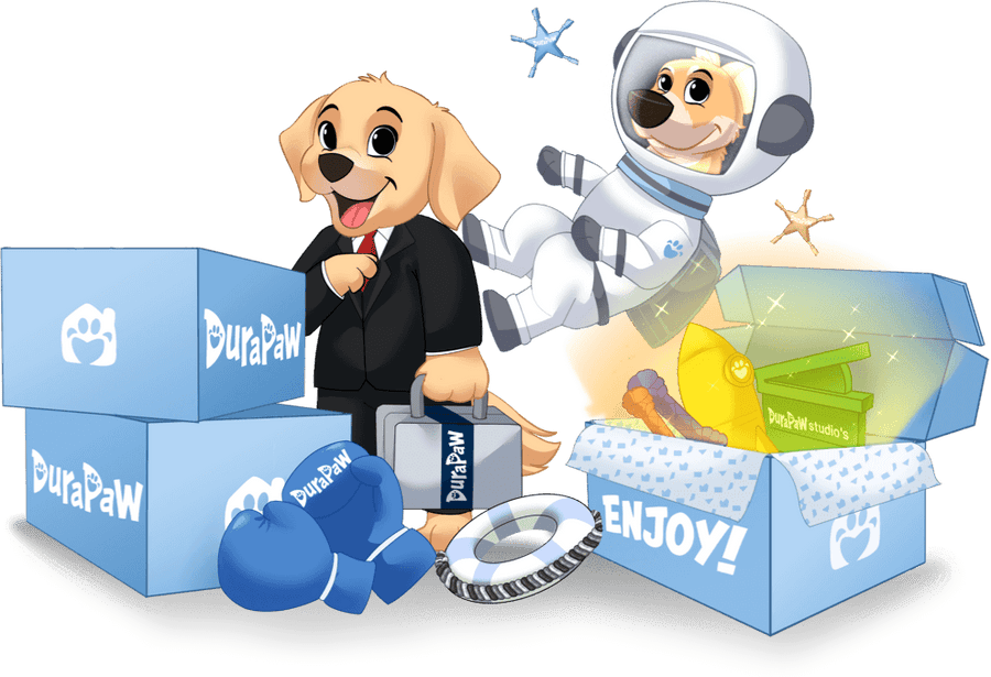 DuraPaw Box The Best Monthly Dog Subscription Box in Canada