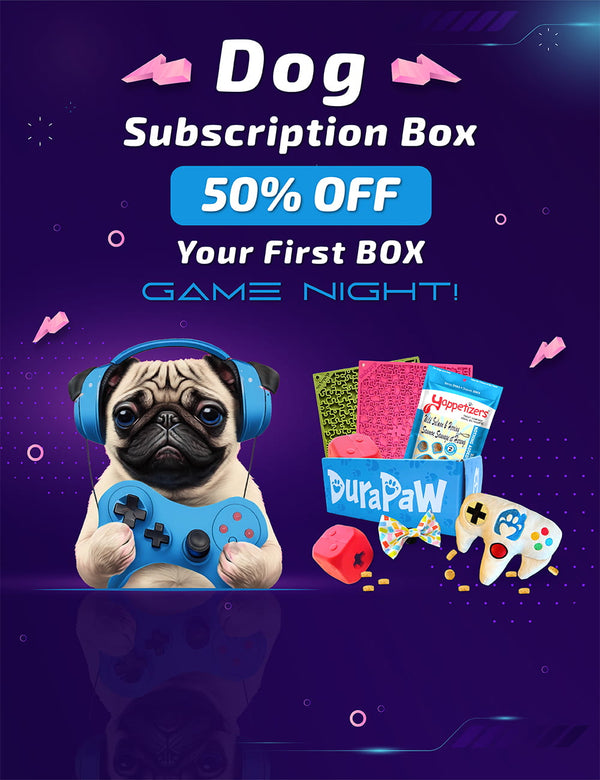 DuraPaw Box Best Monthly Dog Subscription Box in Canada