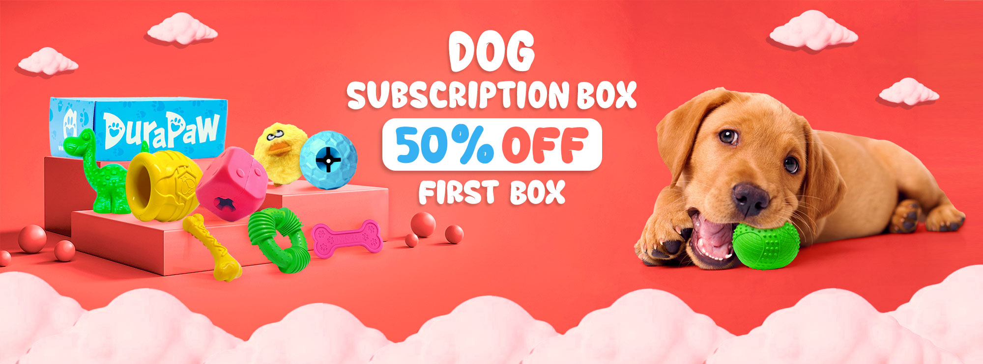 DuraPaw Box The Best Monthly Dog Subscription Box in Canada