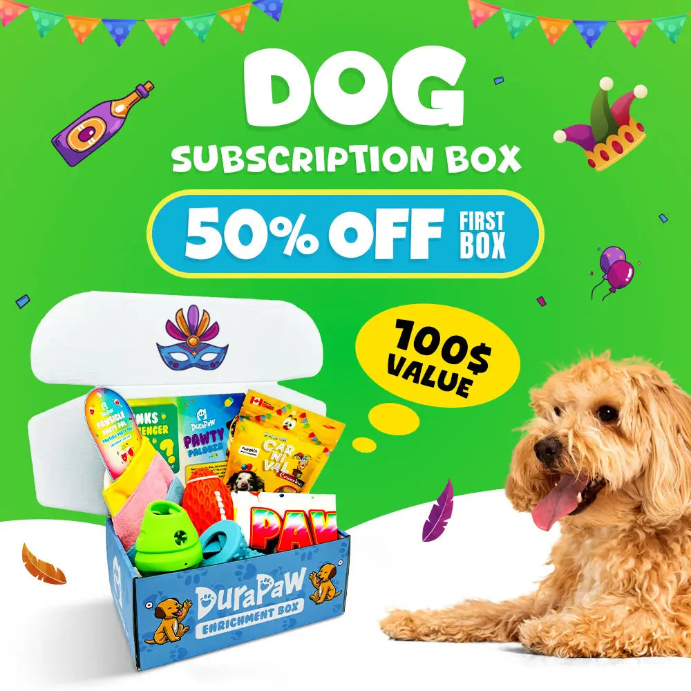 DuraPaw Box Premium Monthly Dog Subscription Box in Canada