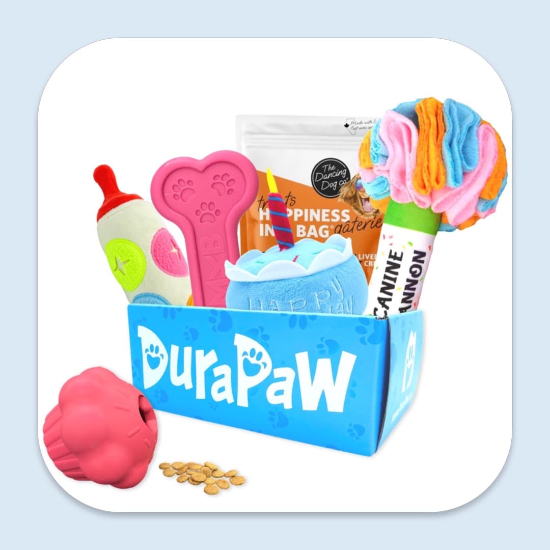 DuraPaw Dog Subscription Boxes Worth It Canada