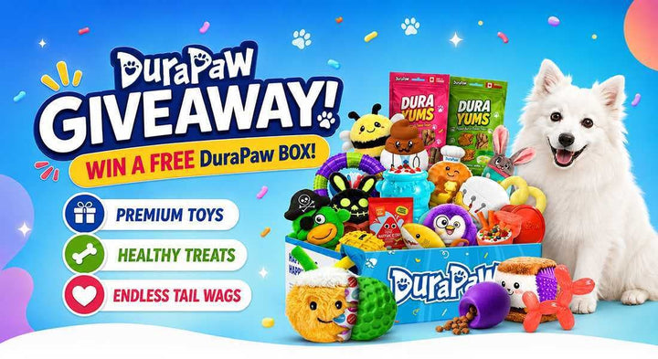 Promotional banner for a DuraPaw Giveaway featuring a white dog next to a blue box filled with colorful dog toys and treats. Text highlights 'WIN A FREE DuraPaw BOX!' and lists benefits: 'PREMIUM TOYS', 'HEALTHY TREATS', and 'ENDLESS TAIL WAGS'.