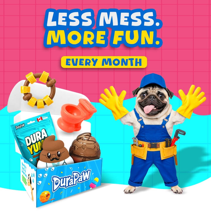DuraPaw Dog toy subscription box with a pug character, DuraPaw branding, and promotional text on a colorful background.
