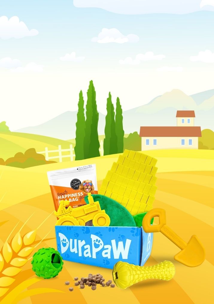 DuraPaw Farm Frenzy Dog Subscription Box Theme Background