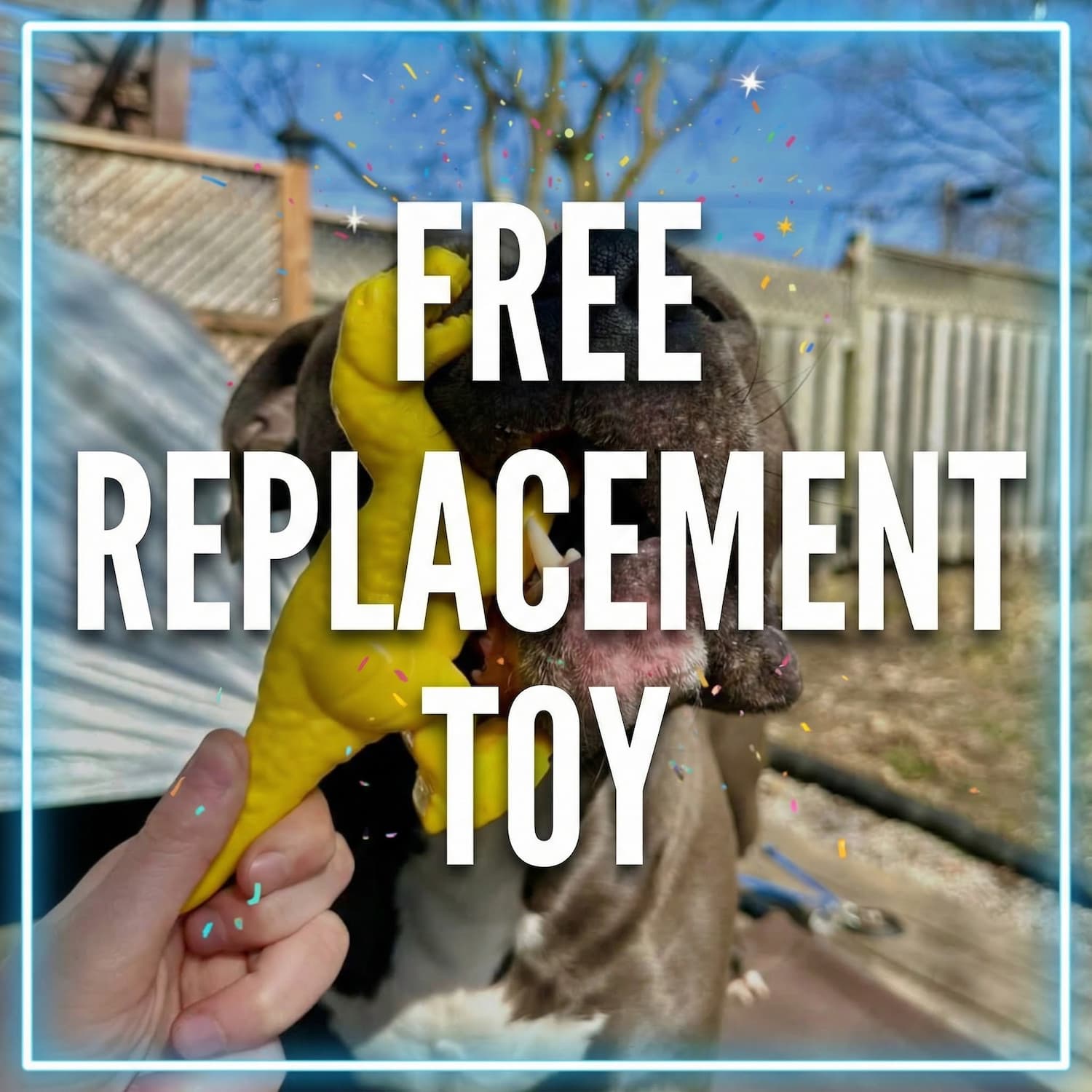 Dog playing with a toy outdoors, with text overlay about a DuraPaw free replacement toy guarantee offer.