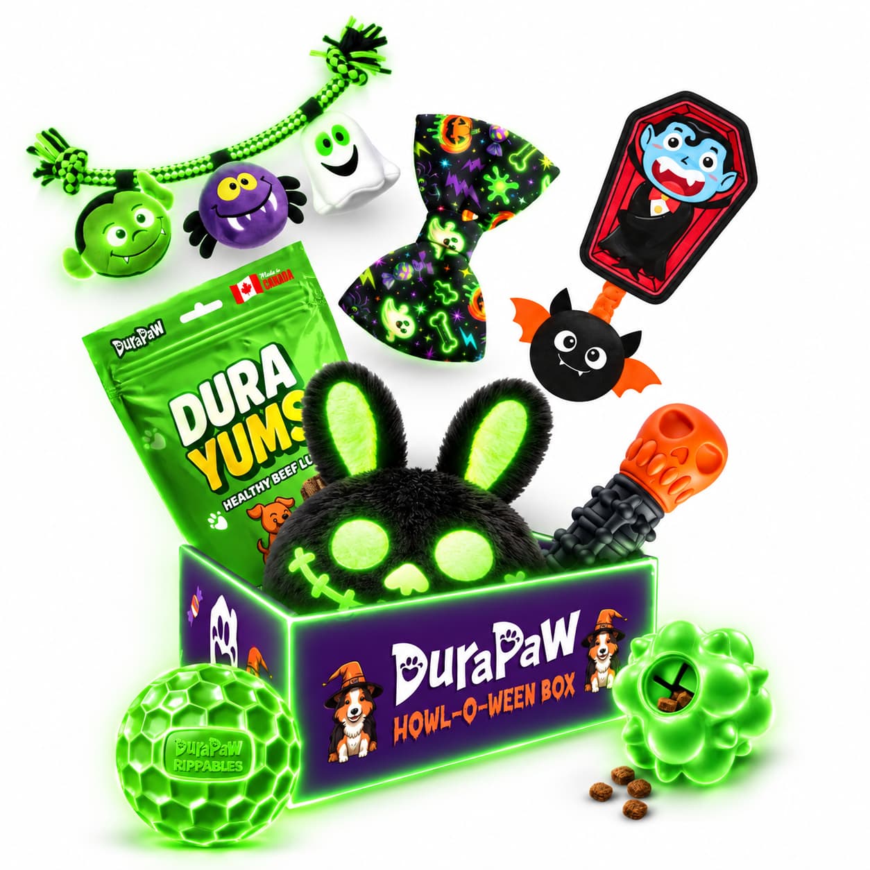DuraPaw Dog Subscription Boxes Canada