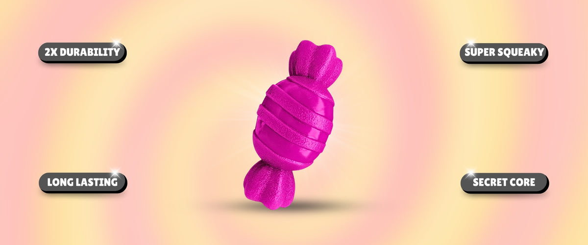 Pink surprise DuraPaw rubber dog toy with durability, squeak, and other features labeled on a pink background
