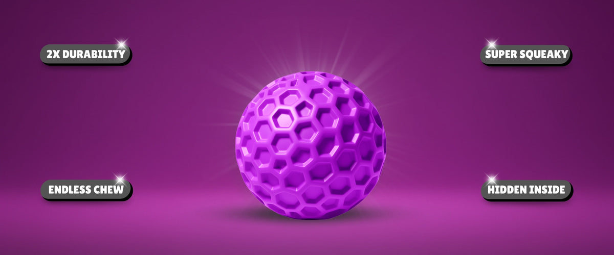 Shiny durable DuraPaw purple rubber dog toy ball with durability and squeaky features highlighted on a purple background