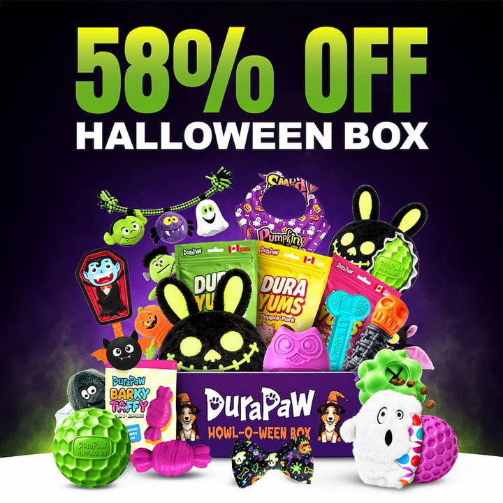 Promotional graphic for the DuraPaw How-O-Ween Dog Subscription Box Halloween box, featuring a large green 58% OFF text overlay at the top and a collection of colorful Halloween-themed dog toys and treats displayed below on a dark purple background.