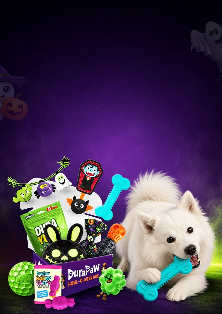 Glow in the Bark: Halloween Edition Box