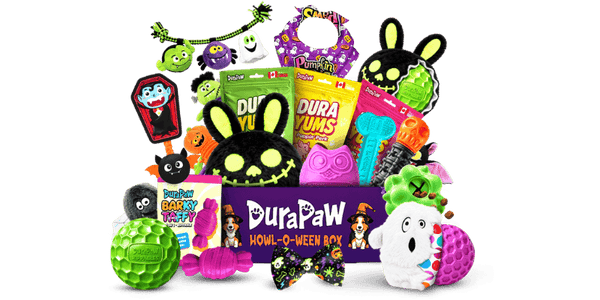 A Halloween-themed DuraPaw holiday dog subscription box bundle featuring a Howl-O-Ween Bark box surrounded by various durable dog toys, treats, and accessories including a green squeaky ball, a white ghost toy, a black bunny-shaped plush, and bags of DuraYums.