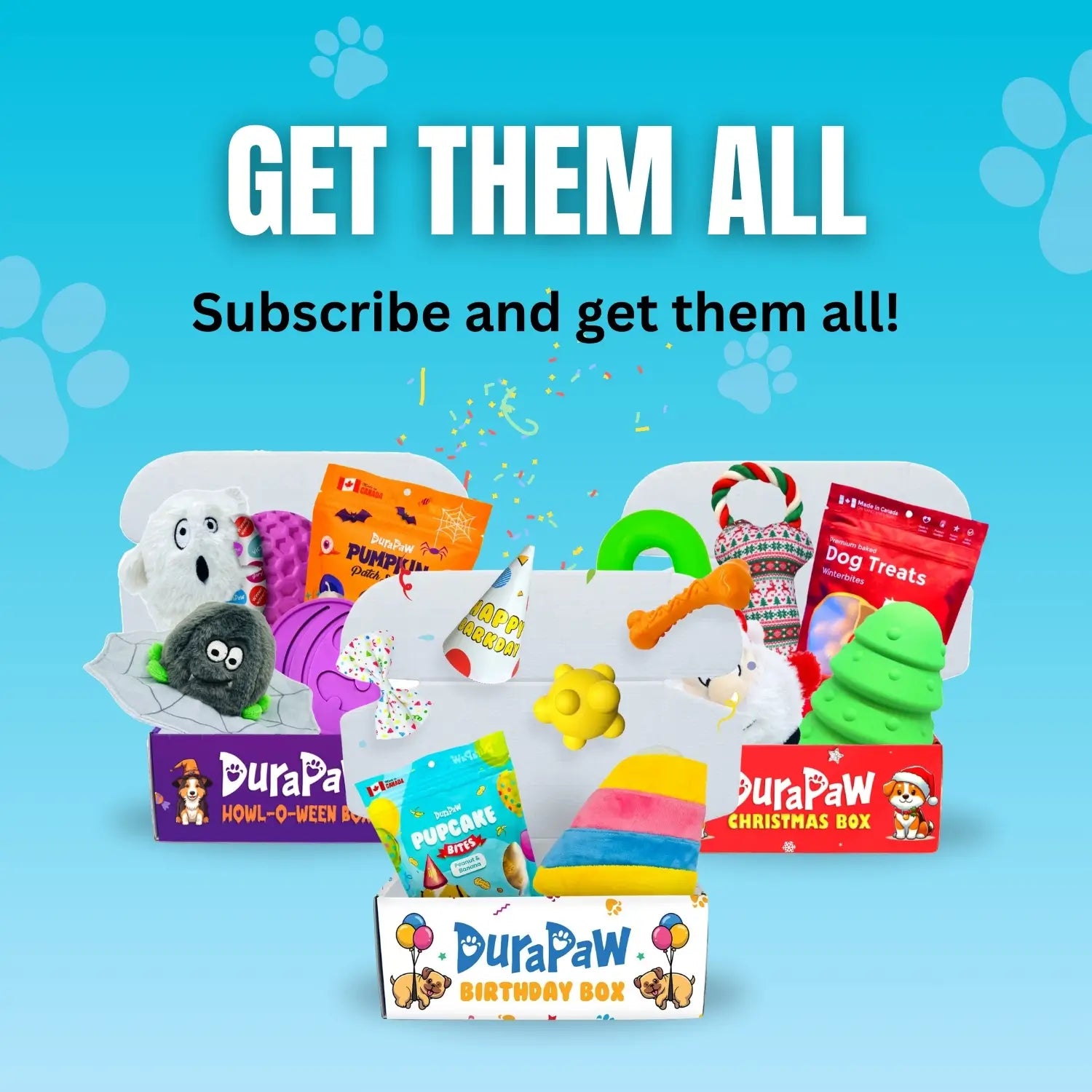 Dog monthly subscription online