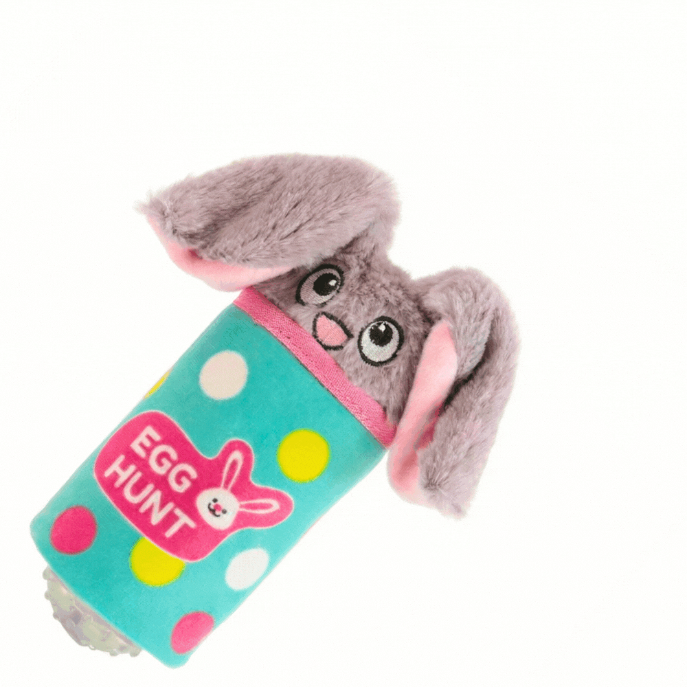 Plush Hoppy Hunt Bunny