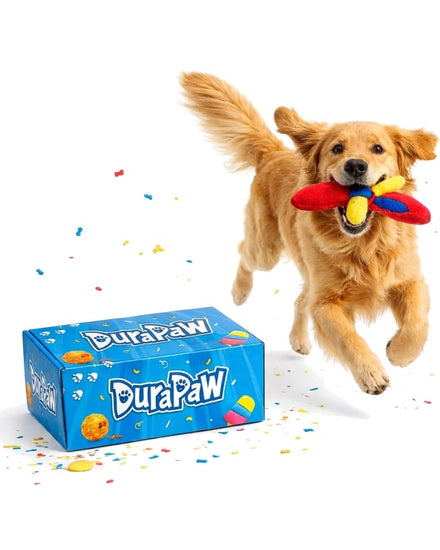 Dog running with a colorful toy in its mouth, DuraPaw box in the foreground