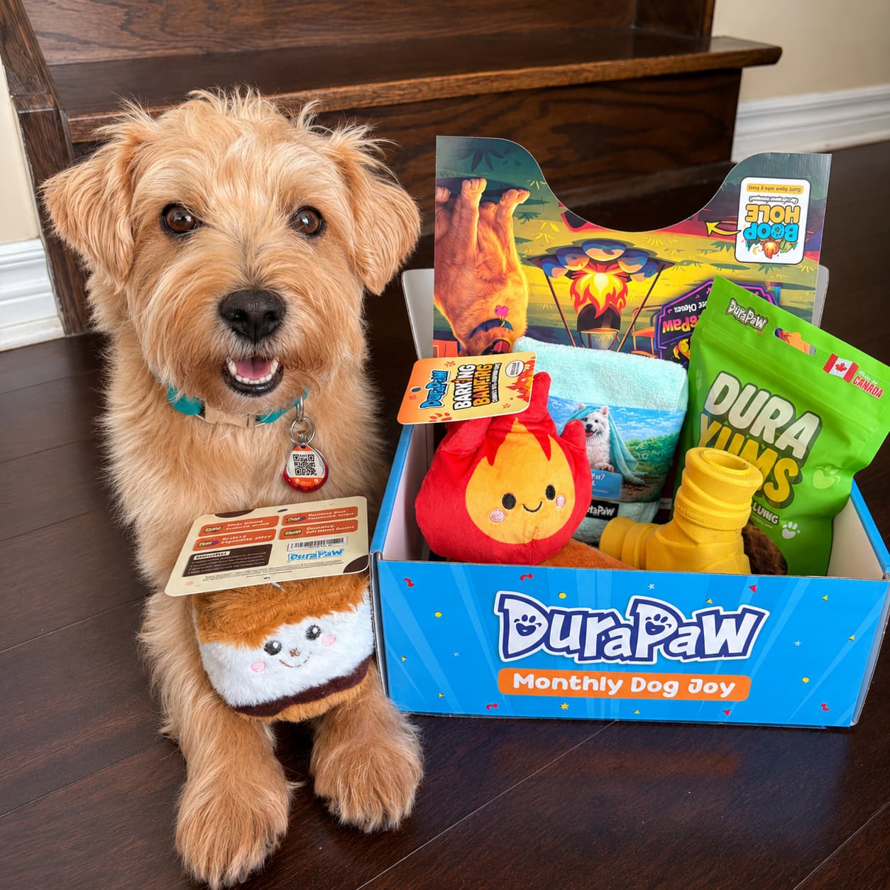 A small tan dog sits beside an open DuraPaw Monthly Dog Toy box on a dark wood floor, with several colorful dog toys visible inside the box and a plush toy attached in front of the dog.