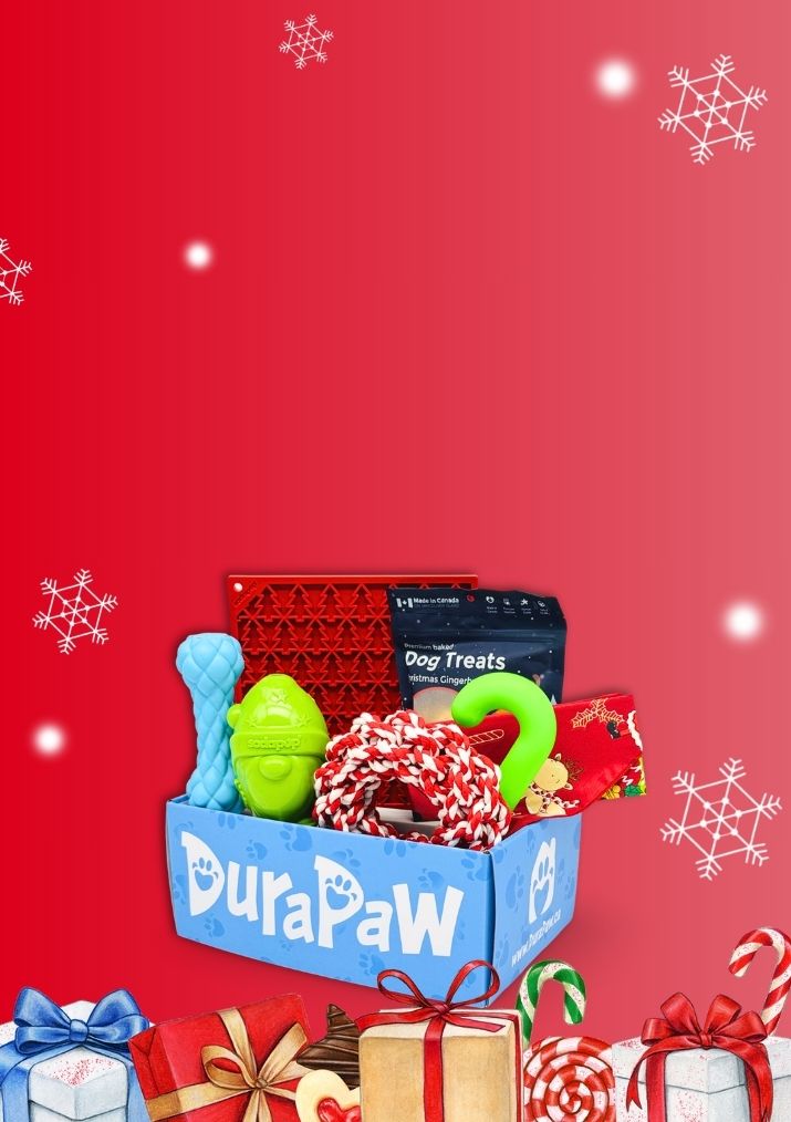 Merry Woofmas Christmas Theme Dog Subscription Box