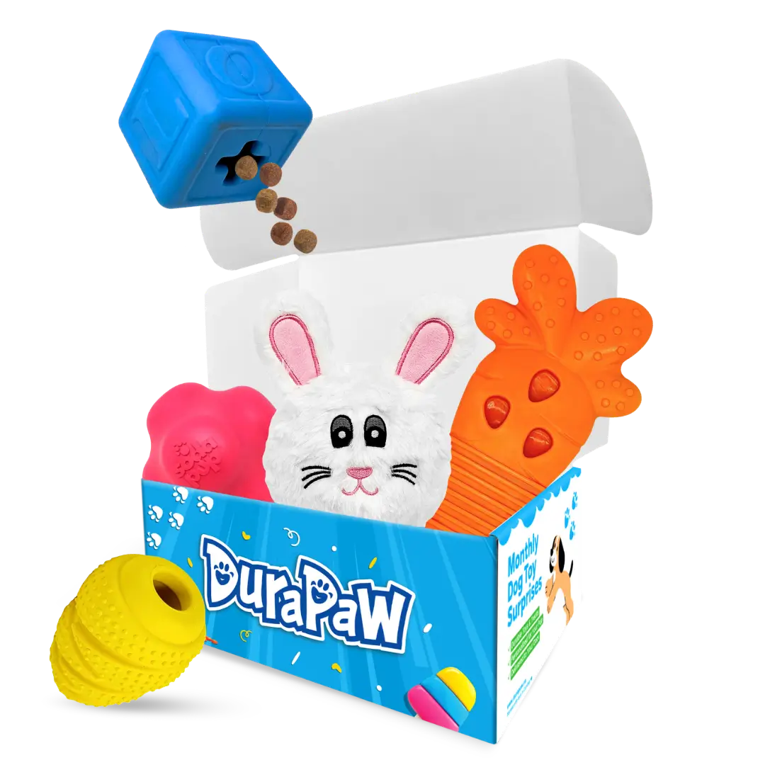 Hoppy Tails Easter Drop Monthly Dog Toy Subscription Box Theme