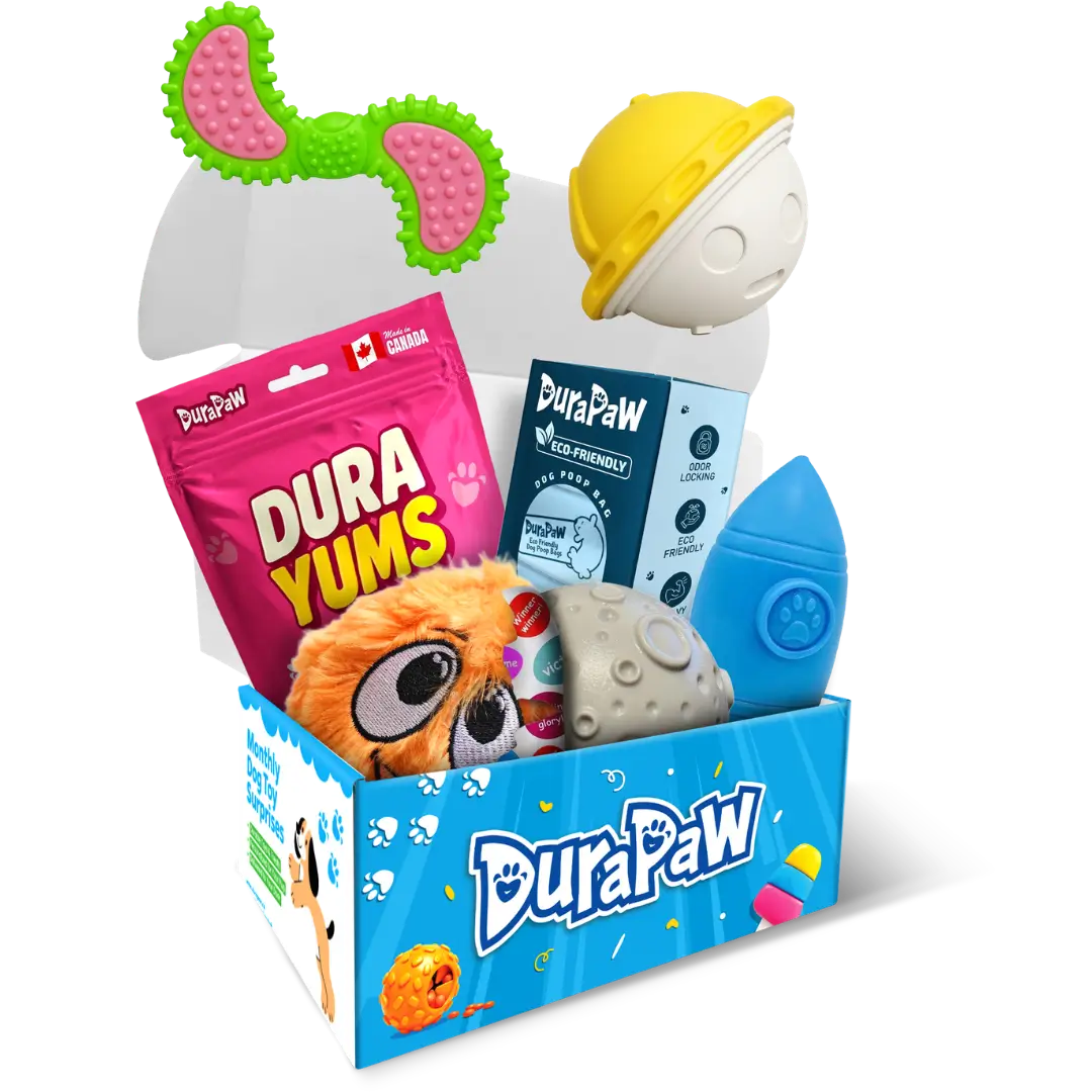 DuraPaw dog toy subscription box filled with toys, accessories and treats
