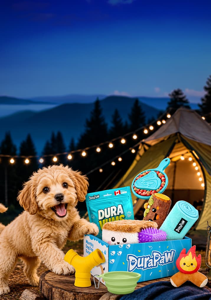 Camp DuraPaw: Howls & Campfires