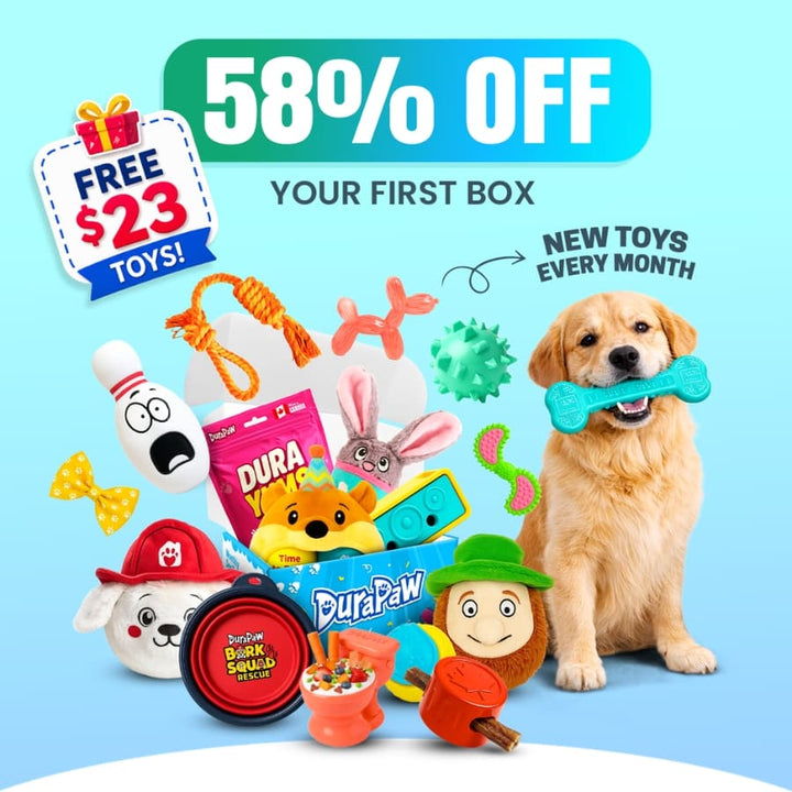 DuraPaw dog toy subscription box featuring monthly toys treats and first box discount