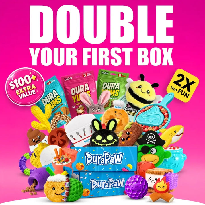 DuraPaw Dog Subscription Boxes Canada
